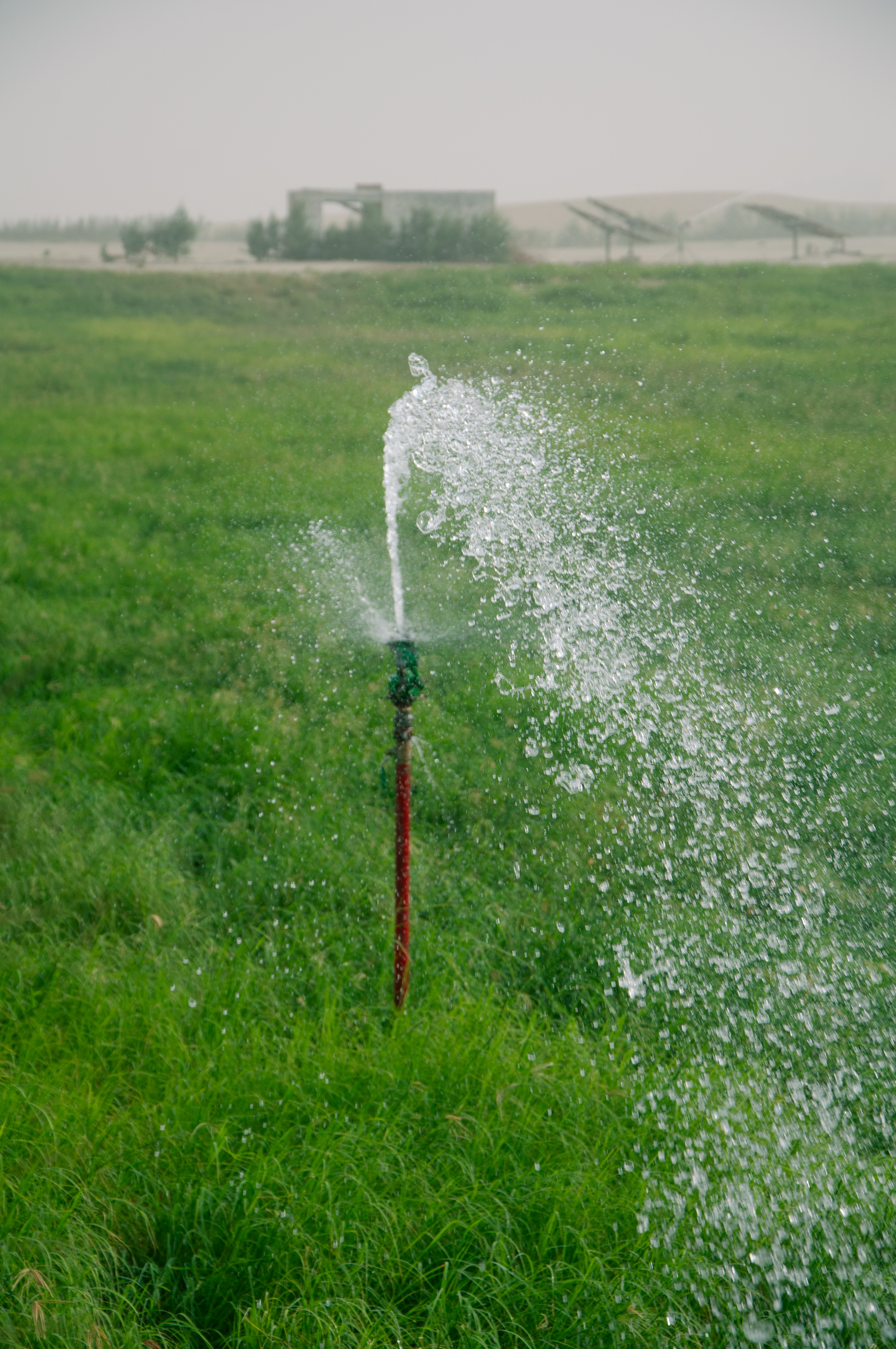 Precision Sprinklers & Drip