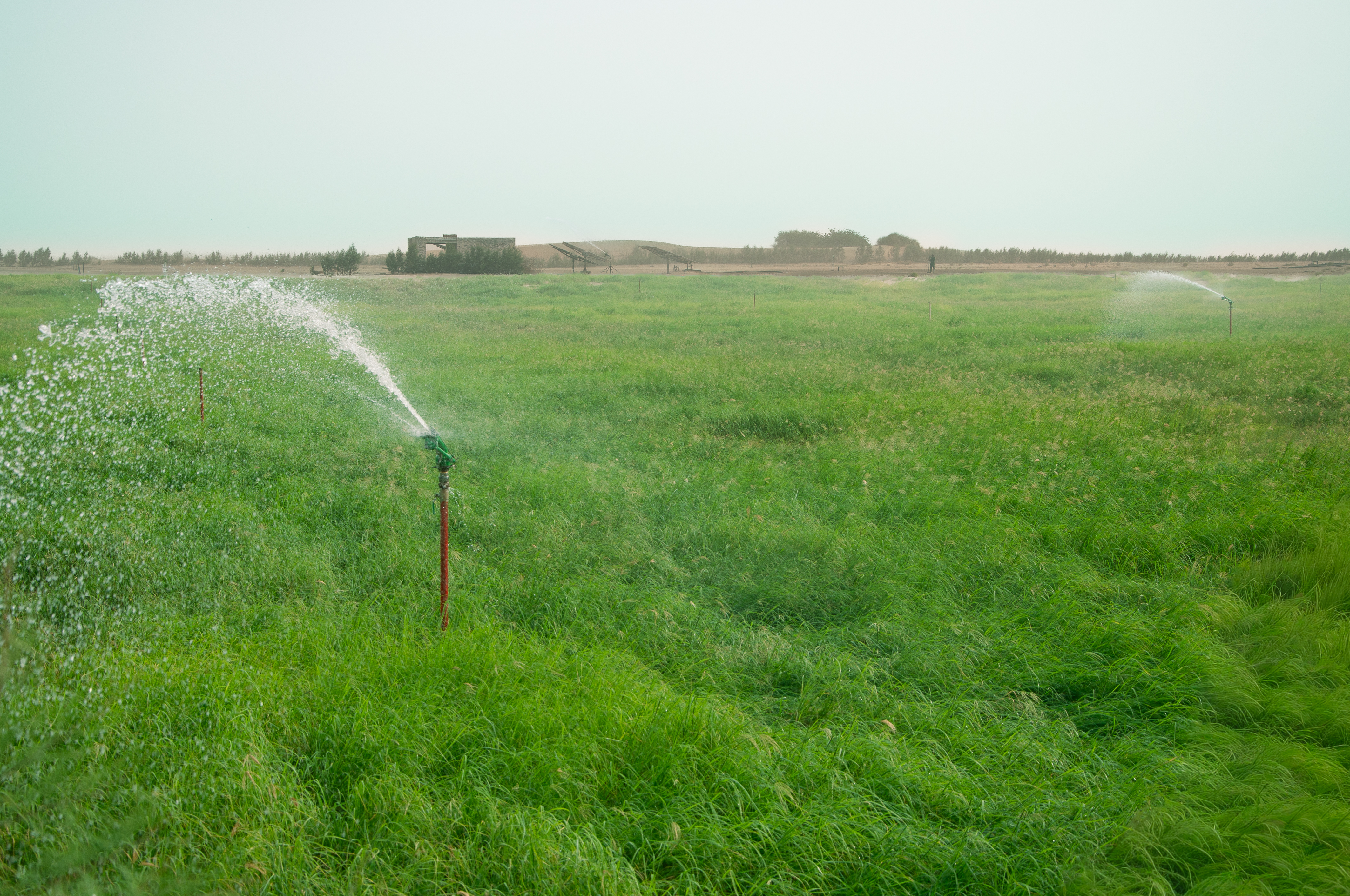 Breathtaking landscape of advanced desert farming with center-pivot irrigation